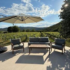 Vineyard Cottage with Mountain Views