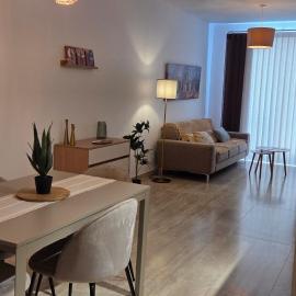 Quiet Apartment in Central Area