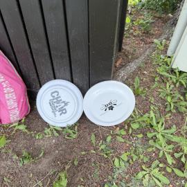 Pony Trail, hotel di Collingwood