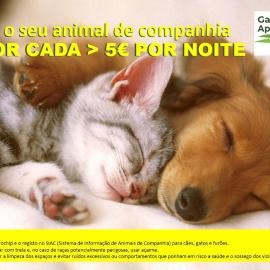 Gardunha Apartments Avenida V, hotel i Fundão