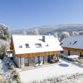 Mountain Chalet Alpinchique