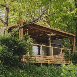 Bungalow animaux OK - 5 pers. - API-1-52-2243