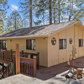 Big Trees, Little Cabin