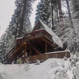 Peaceful Pine Getaway, готель у місті Dorrington
