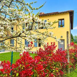 Casa Panorama on Top of the Hill in Tuscany, hotelli kohteessa Terranuova Bracciolini