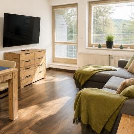 Mountain Apartment Resident - wellness, terasa & garáž v ceně, možnost snídaně
