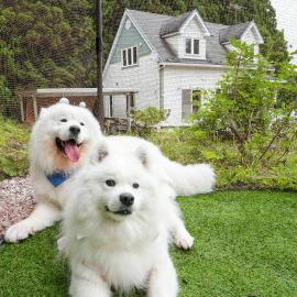 NASU GARDEN COTTAGE - 大型犬可&ドッグラン 屋根付bbq、矢板市のホテル