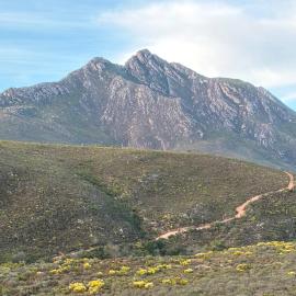 Bonniedale Wilderness Ranch โรงแรมในRuiterbos