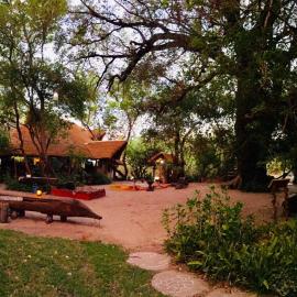 Ngepi Camp, Hotel in Divundu
