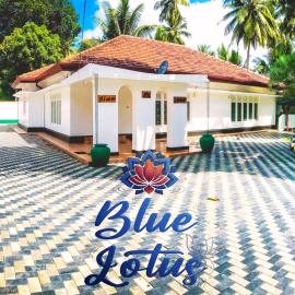 Blue lotus