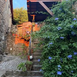 Casa da Ti Maria Pereira