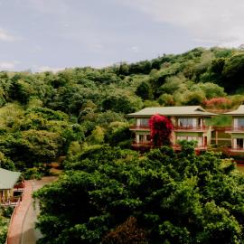 Ficus Sunset Suites