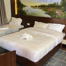 Flora Adventure Resort, hotel sa Meghauli