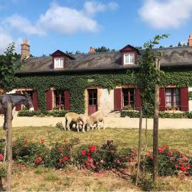 Viesnīca Maison Forestière de Chenailles Chambre St Hubert pilsētā Châtenoy