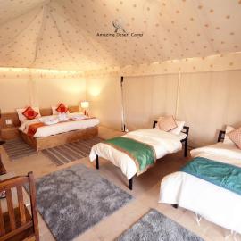 Amazing Desert Camp