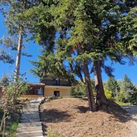 Holiday house Čardak nad borovima 2 spavaće sobe i 2 velika bračna kreveta za 4 osobe، فندق في Brestovac