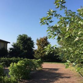 B&B Oasi