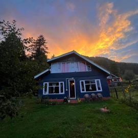 Freedom Palace Homestay