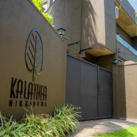 kalathea Hikkaduwa
