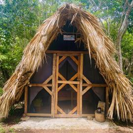 Coco Hause