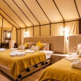 Magical Luxury Camp