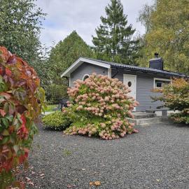 4 star holiday home in Löddeköpinge