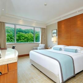 The Dragon Hotel Hangzhou
