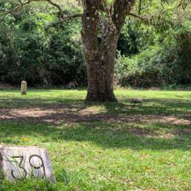 SugarLoaf Campsite