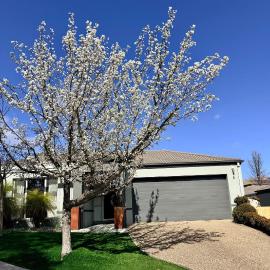 Modern 3BR 2Bath 2Garage Home in Bruce Canberra