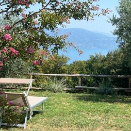 Dream Gardasee Chalet con giardino mediterraneo