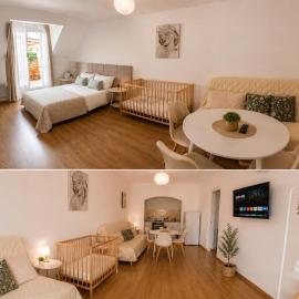 Appartement entre Paris et CDG