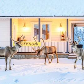 Vikajärvi में, होटल Scandinavian Dream Cottages Vikajarvi- Rovaniemi