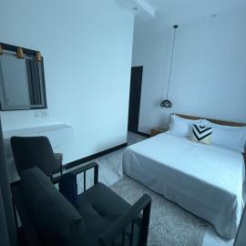 zanzi properties 1