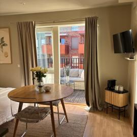 Apartment with a sunny balcony in Oslo