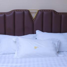 Buddiez platinum hotel limited