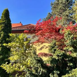 Ferienhaus Stahnsdorf zwischen Potsdam und Berlin mit kostenlosem Parkplatz, Hotel in Stahnsdorf