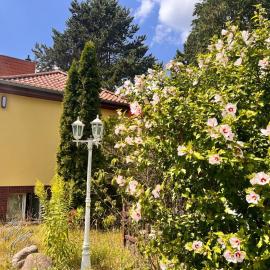 Ferienhaus Stahnsdorf zwischen Potsdam und Berlin mit kostenlosem Parkplatz