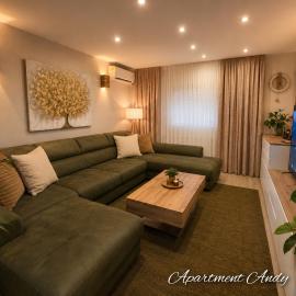 Apartment Andy