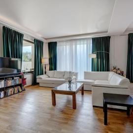 Alexandra Villa near Therme Bucharest and Airport