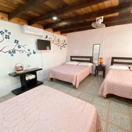 Cabañas Villa Olaya