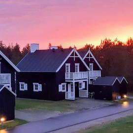 4 star holiday home in Gjern