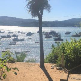 Bahía Coliumo Ocean View