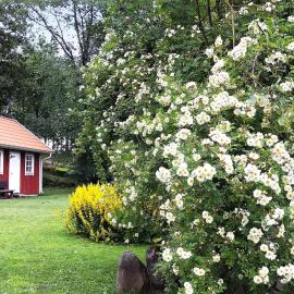 4 person holiday home in FALKÖPING-By Traum, hotel en Falkoping