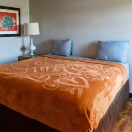 North - King Bed Hotel Studio 218
