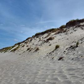 8 person holiday home in Ringkøbing