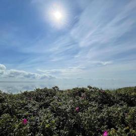 4 person holiday home in Ringkøbing-By Traum