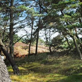 6 person holiday home in Rømø-By Traum