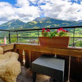 Adlerhorst - Apartment im Niedersimmental