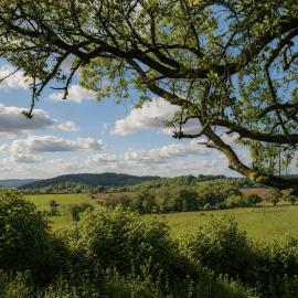 Viesnīca Caplor Glamping & Lodges Herefordā