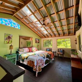 Rare Rainforest Hideaway - A true jungle experience!